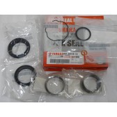 FORK SEALS KIT